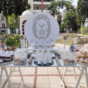 Διακόσμηση Βάφτισης Σκατζοχοιράκι